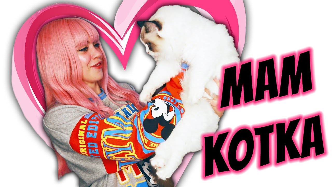 MAM NOWEGO KOTKA RAGDOLL 😻 Haul Zakupowy Shopee