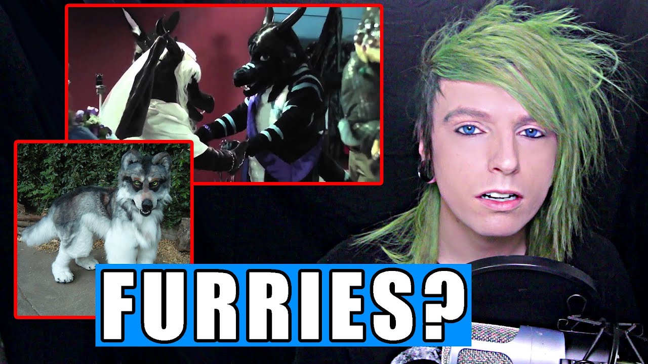 REACTING TO FURRIES
