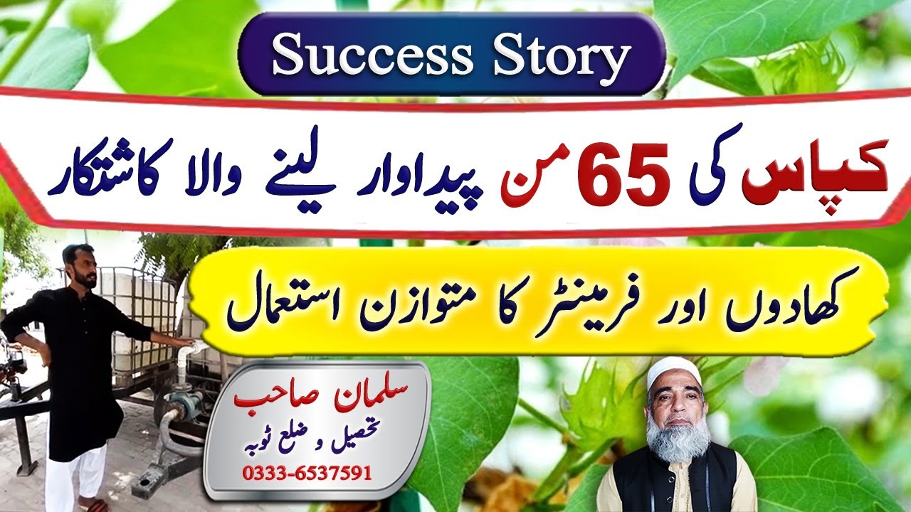 A successful farmer of Cotton who got 65 maunds per acre yield || Crop Reformer