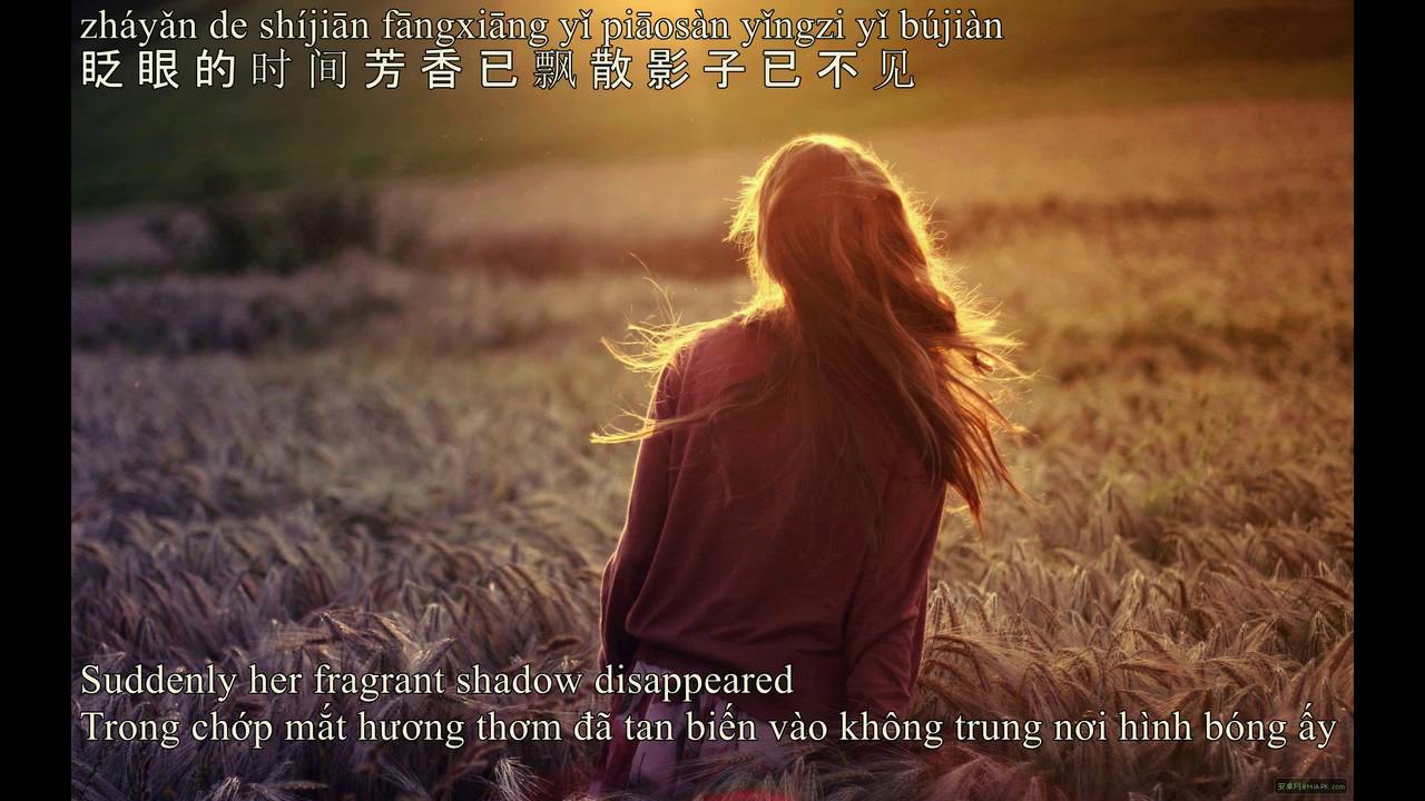 Cô gái phương nam - Triệu Lôi (南方姑娘 - 赵雷）vietsub+engsub
