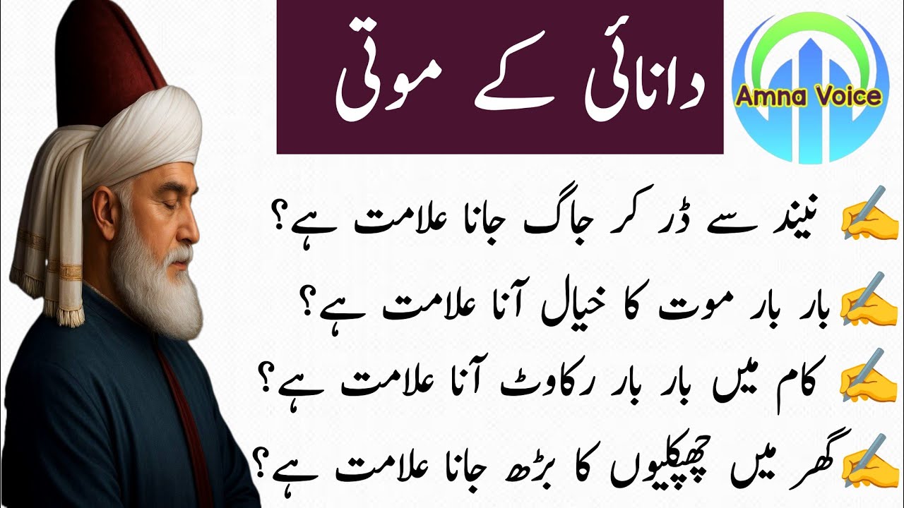 Rumi quotes Urdu | Hikmat ki batain | Urdu quotes | best life-changing quotes