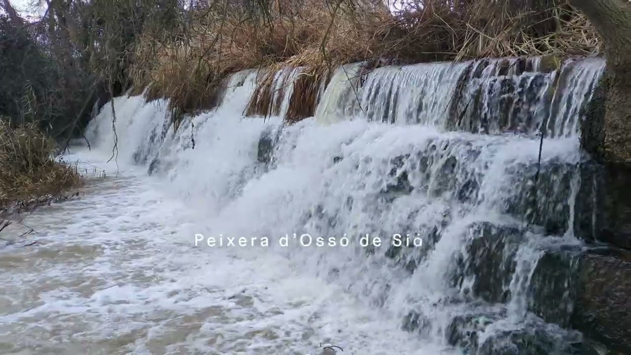 Peixera d'Ossó de Sió