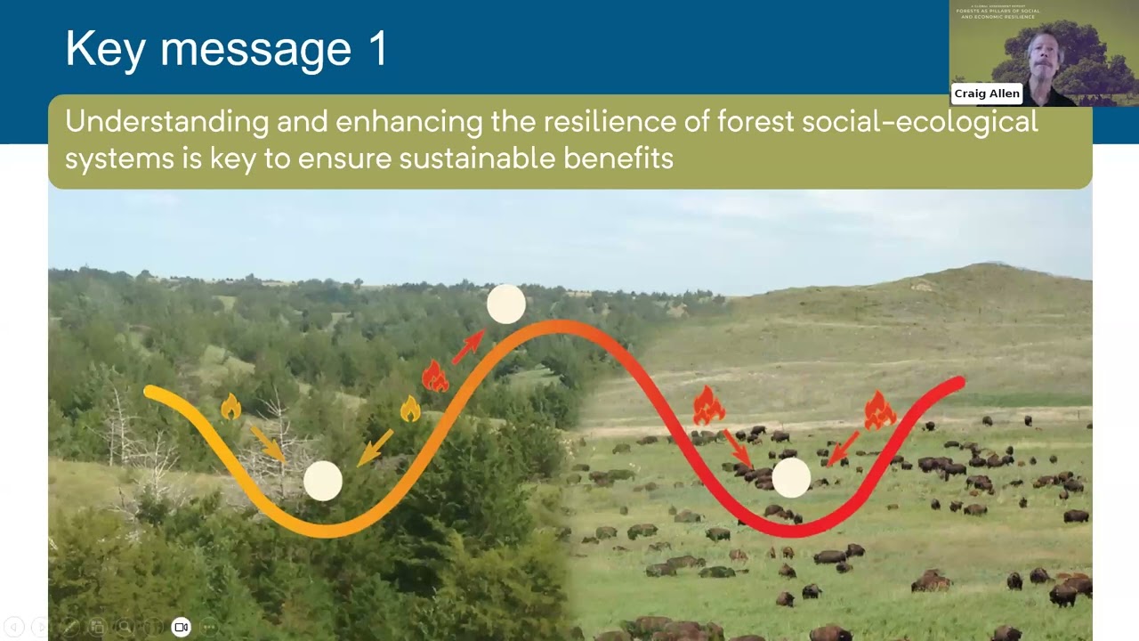 Roundtable on Forests and Resilience