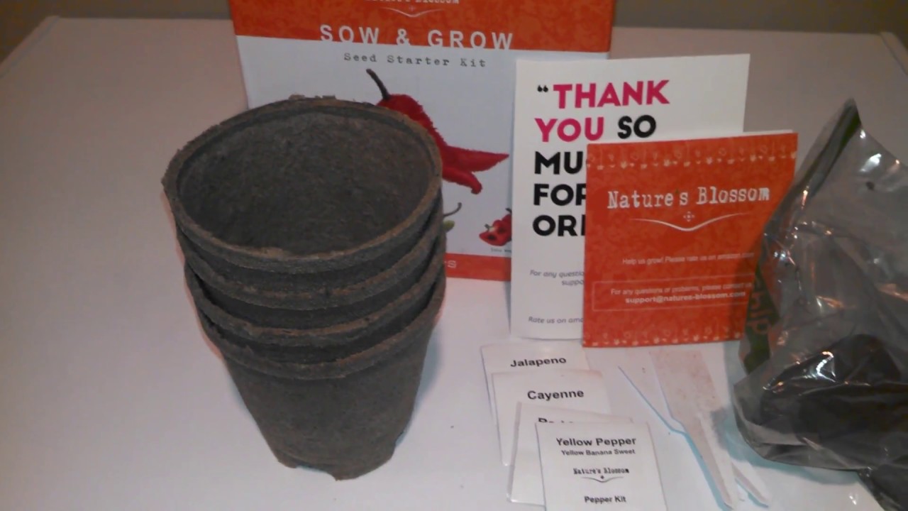 Nature's Blossom Sow & Grow Seed Starter Kit Review