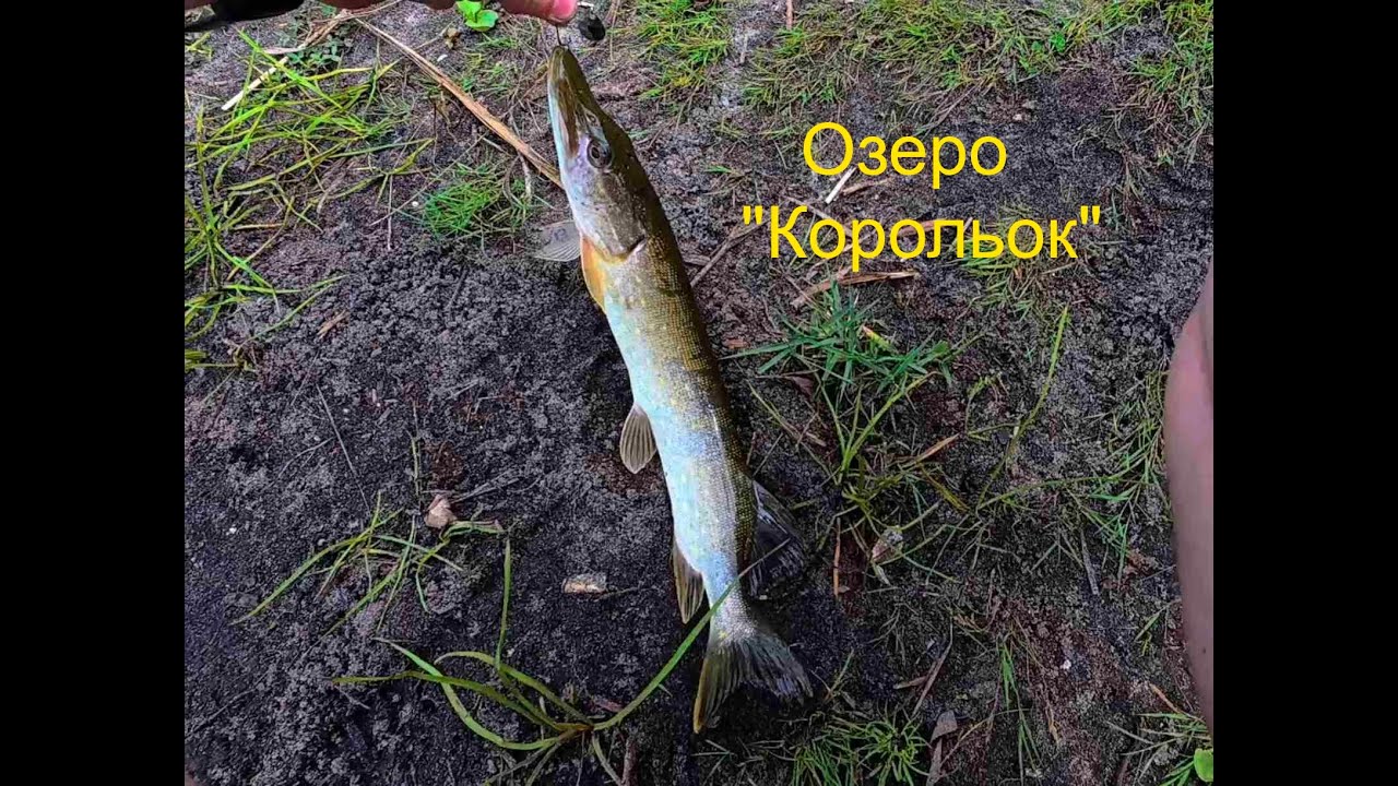 Озеро 