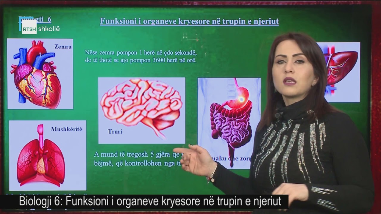 Biologji 6 - Funksioni i organeve kryesore në trupin e njeriut