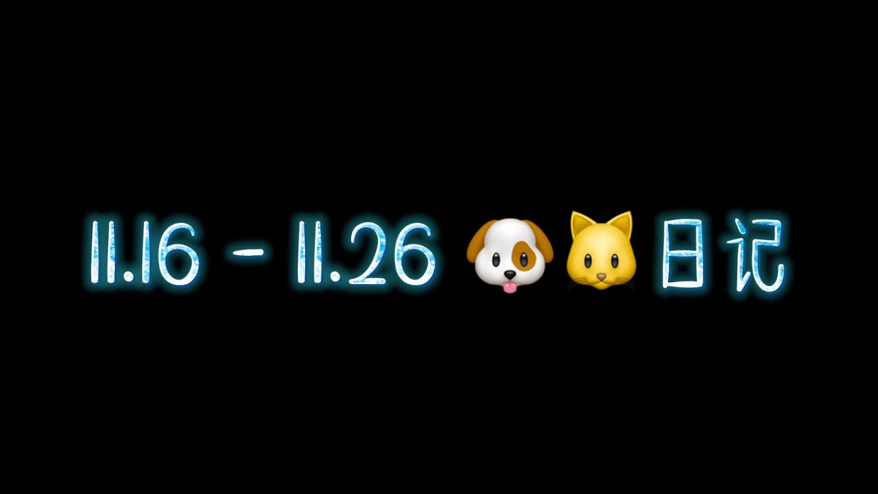 【俊哲日记】23.11.16 - 11.26 🐶🐱日记 —— 《逆风》收官：再见+纸飞机 & 再现日照金山同件帽衫，忽长忽短 & VOGUE盛典：玩梗GJXM 龚俊熊猫？