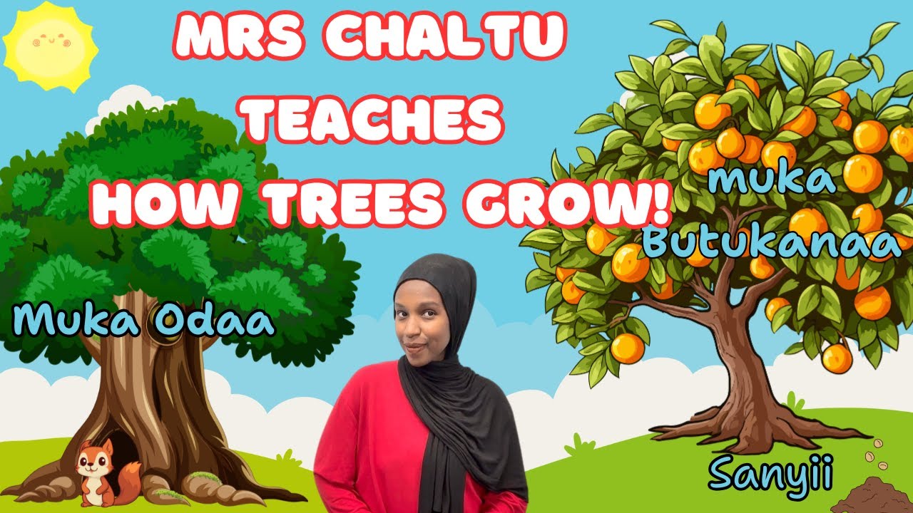 Let's sing the Green Grass Grows all Around in Oromo and learn about the Odaa tree with Mrs.Chaltu!