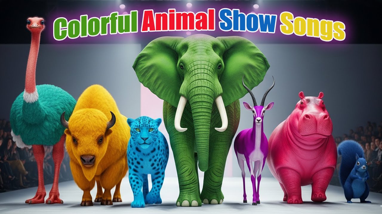 Colorful Animal Show Songs | Animal Colorful | Zazzy Melody