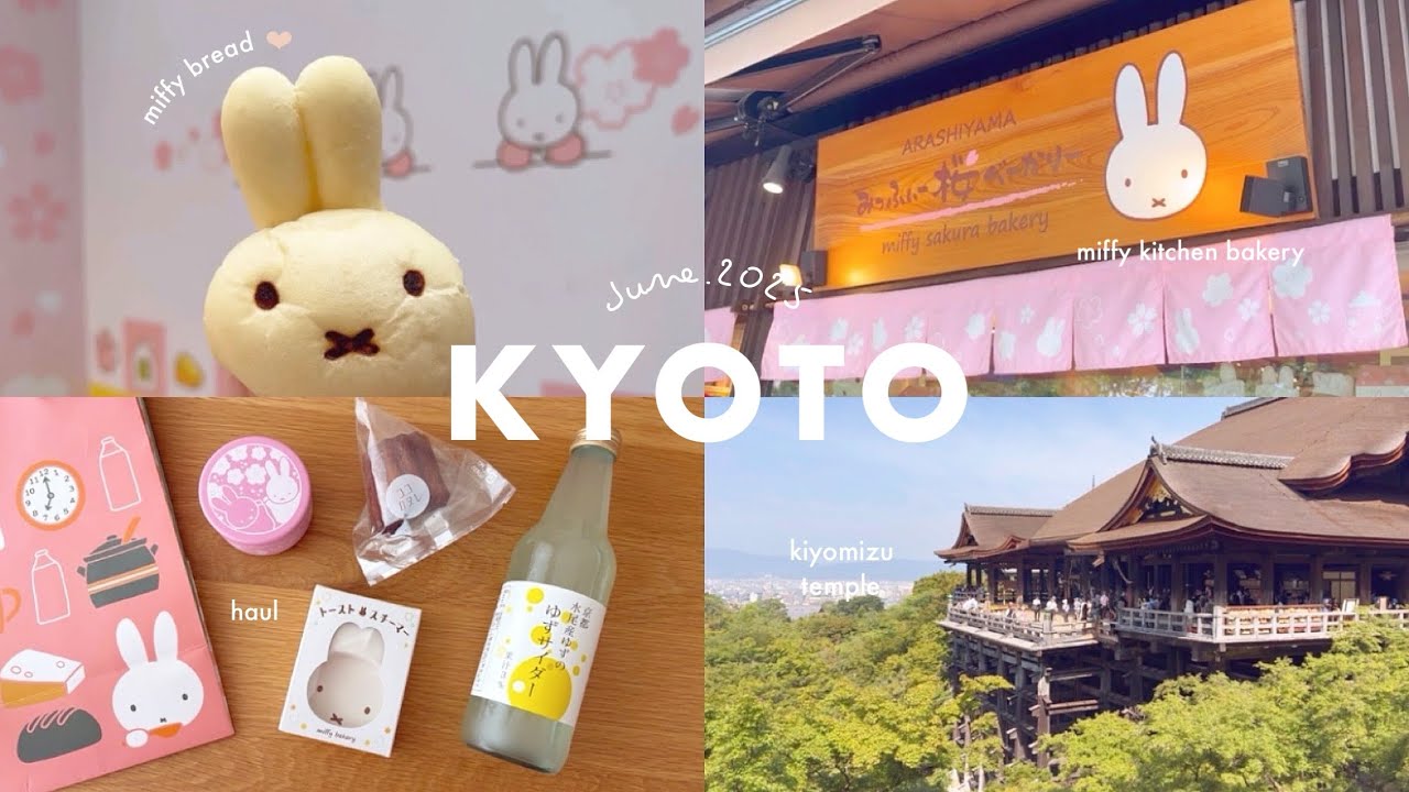京都1泊2日の癒し旅🐰⛩️ ミッフィー桜きっちん🌸､清水寺､嵐山 | 海の京都 京丹後で海鮮ビュッフェ🍽️､佳松苑､夕日ヶ浦 | 京都vlog