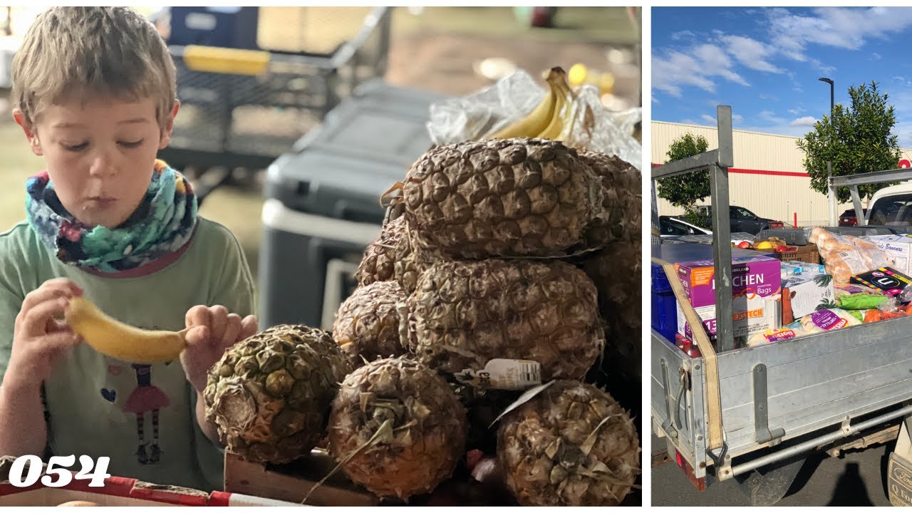 June Monthly Grocery Haul Australia | Costco | Aldi | Large Family | Stockpile | Bulk | Off Grid 054