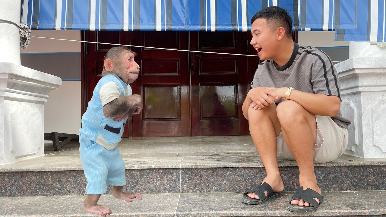 Cubis Asked Dad for a Café Date… So Adorable! ☕🐒