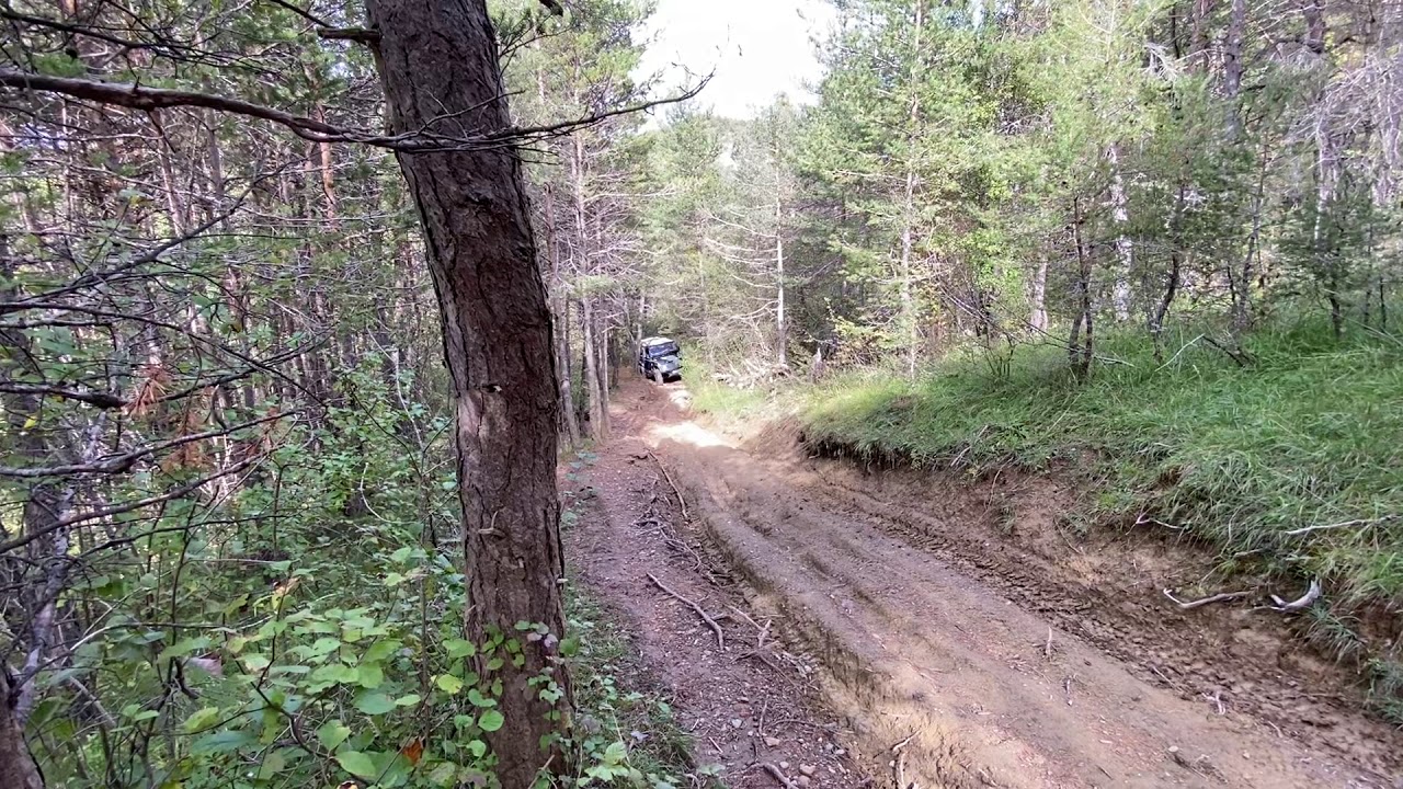 Land rover Defender 90 300 tdi offroad forest, 2 diff lockers, french alps