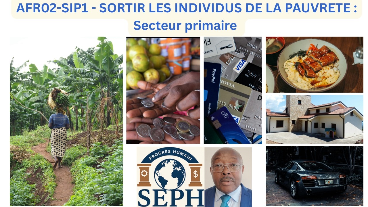 AFR02-SIP1-SORTIR LES INDIVIDUS DE LA PAUVRETE  01