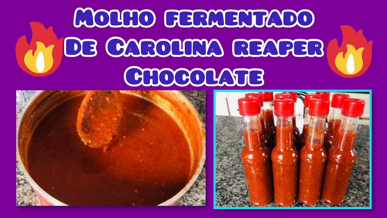ENSINANDO A FAZER MOLHO DE PIMENTA FERMENTADO DE CAROLINA REAPER CHOCOLATE