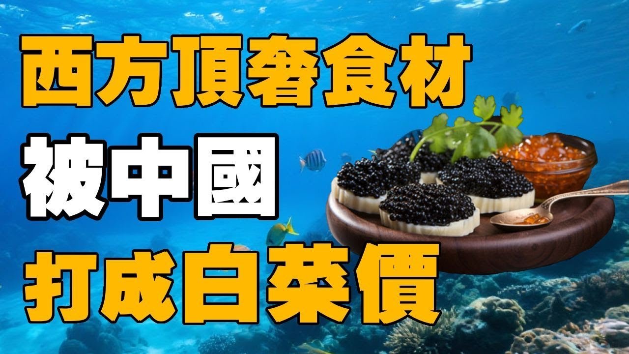 【十萬品牌故事】冷知识 ，西方人爱吃的鱼子酱，大多是中国产的 #鱼子酱 #鳕鱼 #银鳕鱼 #米其林餐厅