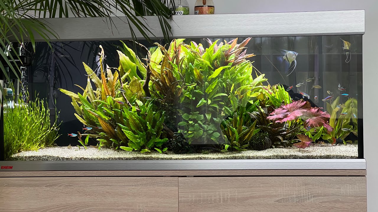 EHEIM Proxima 325 L