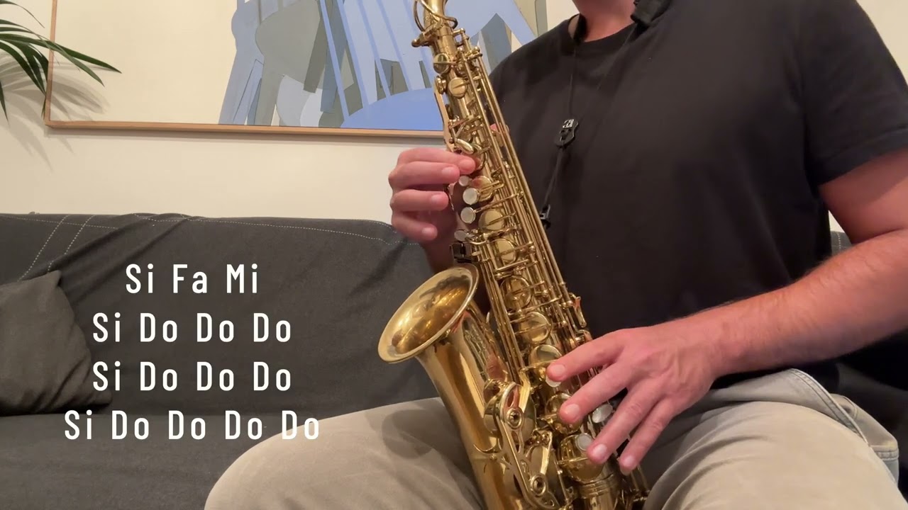 Chanson Facile & Jolie au Saxophone