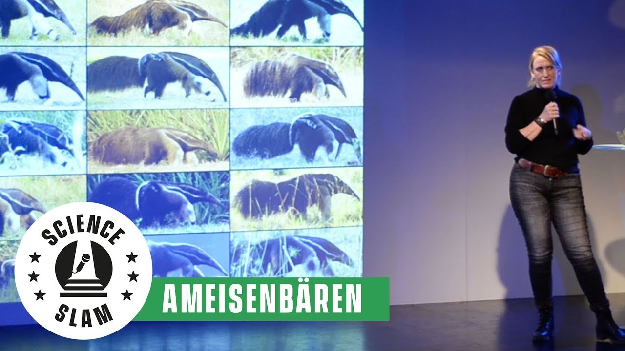 Ameisenbär: Einblicke in das Leben der seltsamen Insektenfresser (Lydia Möcklinghoff – Science Slam)