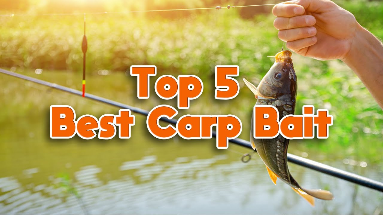 Best Carp Bait In 2022 | Top 5 Carp Baits In Market