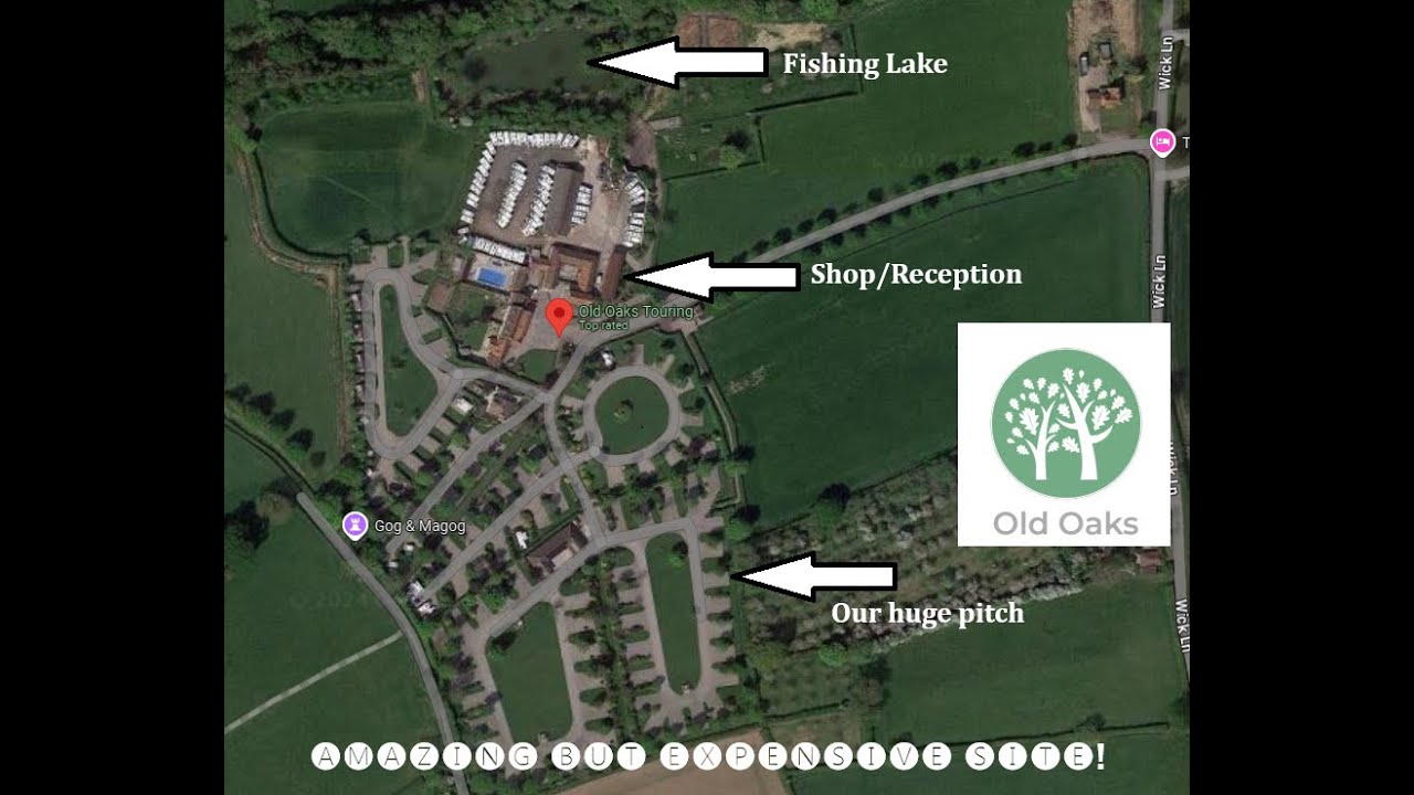 The Old Oaks - Glastonbury