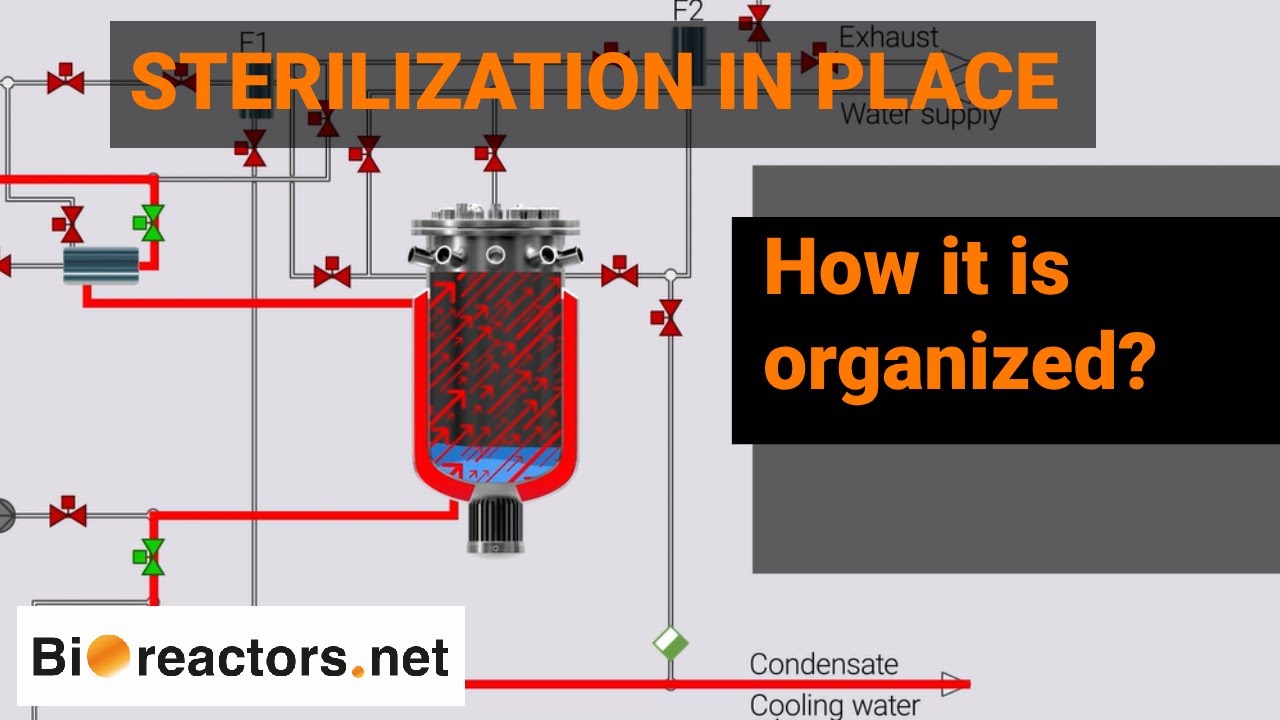 Bioreactor Automatic Sterilization (in-situ)