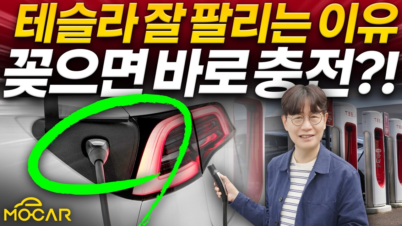 테슬라가 1등인 대한민국...이유가 무엇일까