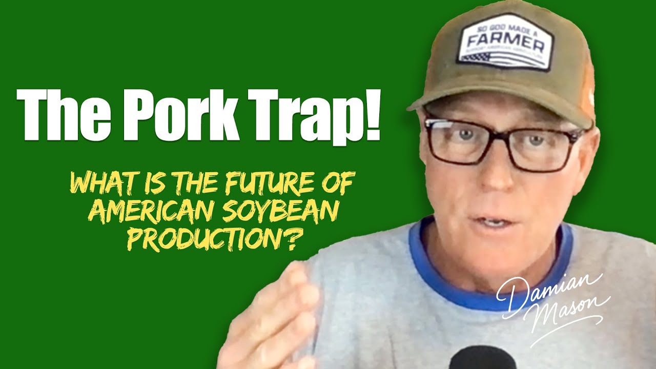 The Pork Trap: What Is The Future of American Soybean Production?