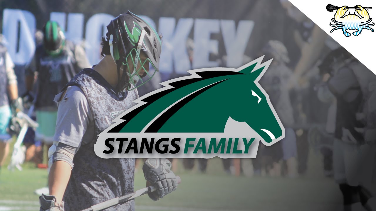 Stangs Family: Episode 2 