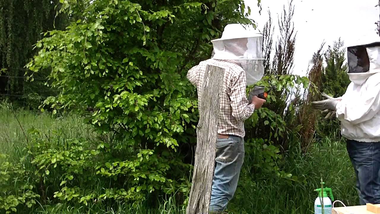 Hortus Creationis zu Gast bei RRHase