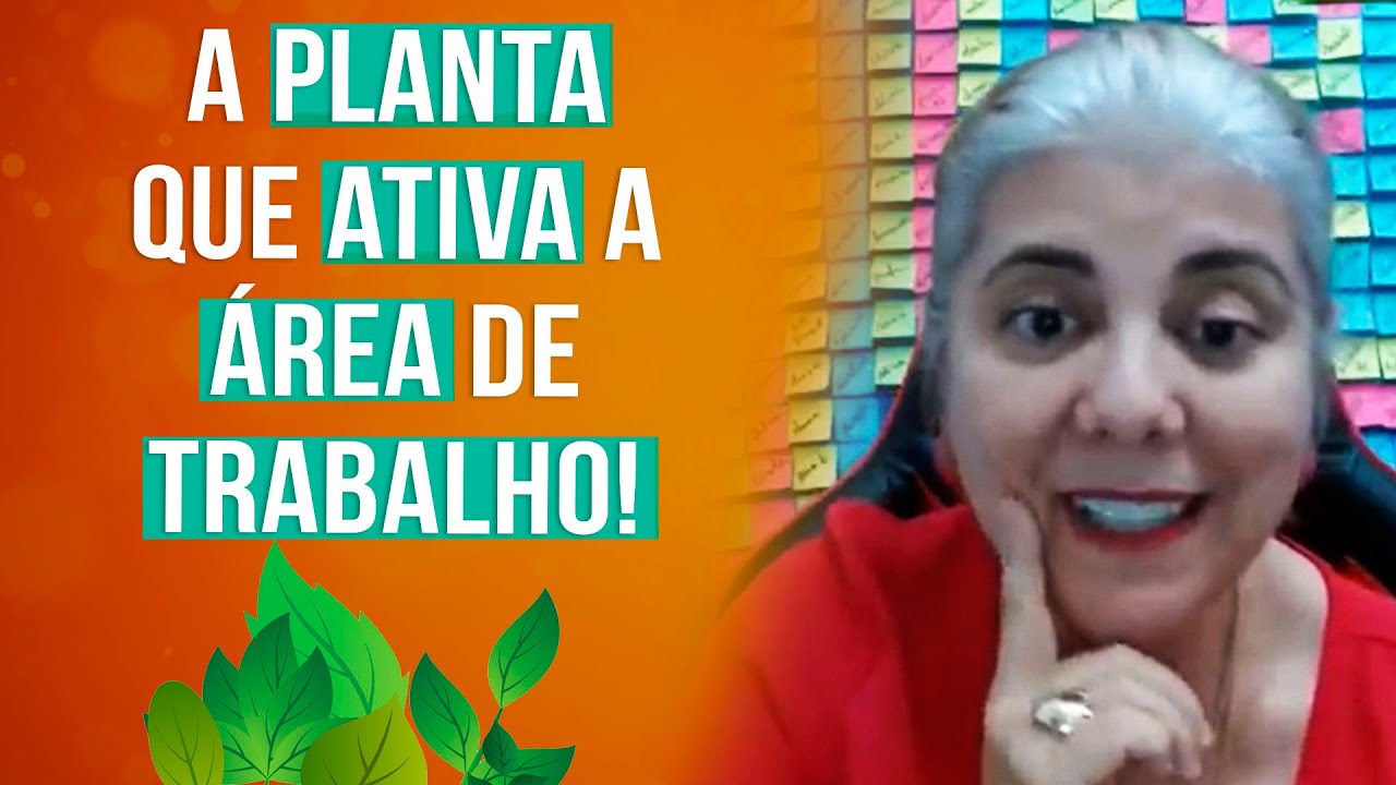 Como usar plantas e pedras que ativam a área do Trabalho!