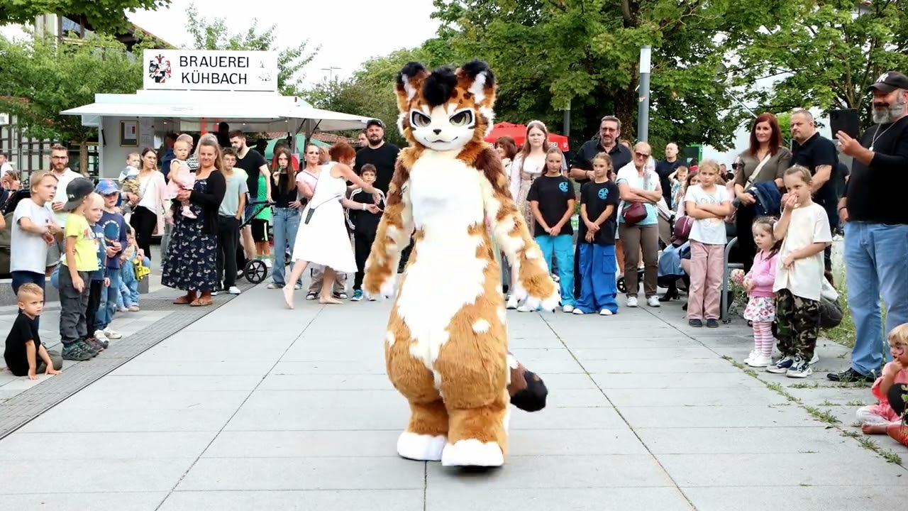 【Fursuit Dance】Luxxy - I-DLE 'QUEENCARD'