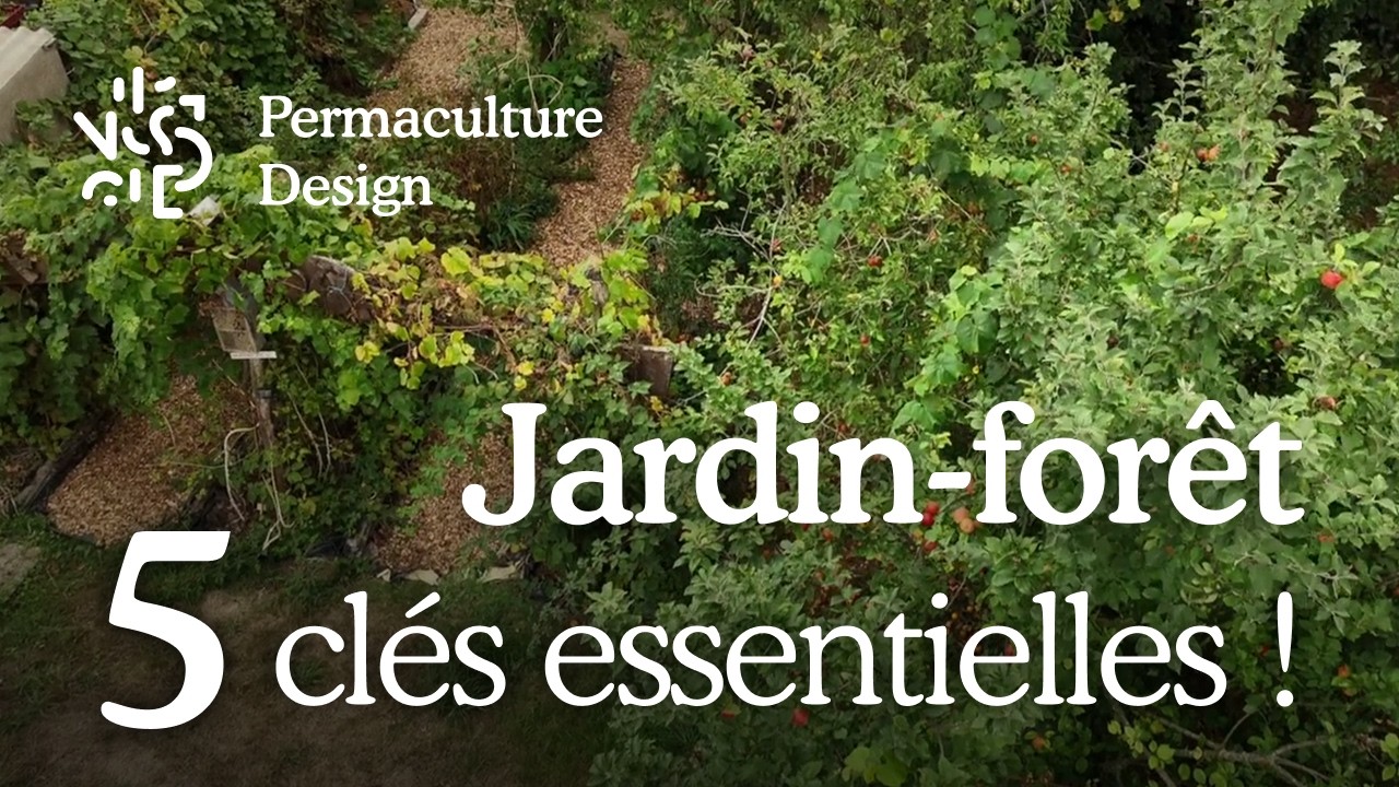Jardin-forêt : 5 clés pour associer vos plantes