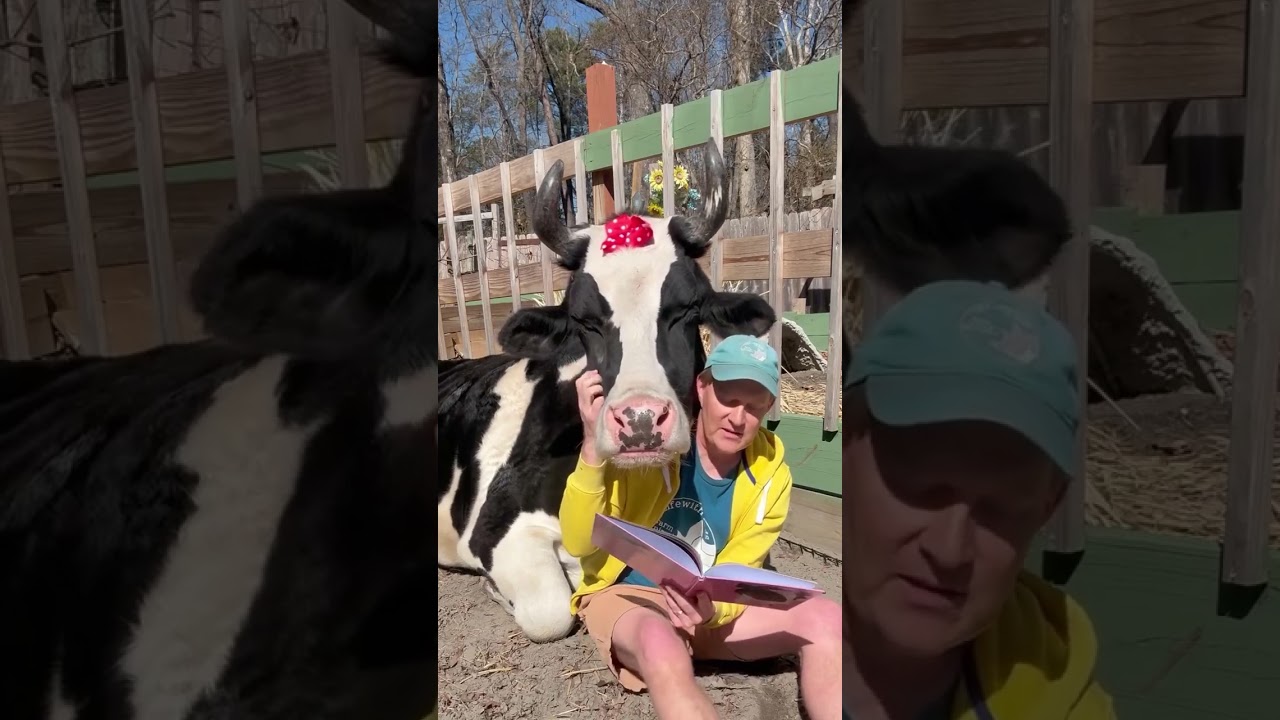 Jenna the Calf Who Lived