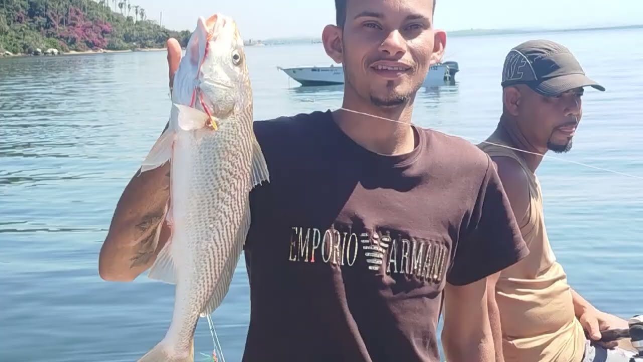 Pescaria baía de Guanabara quer pegar seu peixinho!!! vem com o Vitinho 