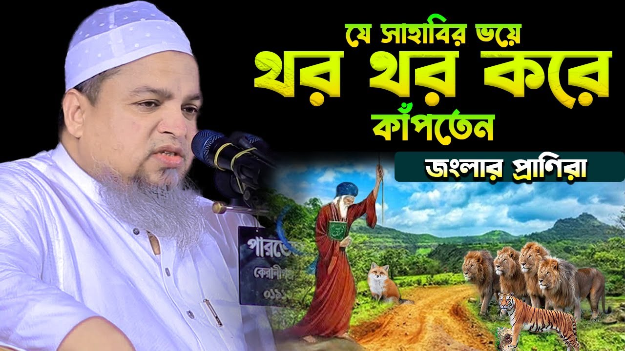 যে সাহাবির ভয়ে থর থর করে কাঁপতেন জংলার প্রাণিরা,খালেদ সাইফুল্লাহ আইয়ুবী,khaled saifullah ayubi