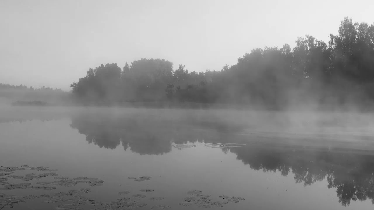 УТРО ТУМАННОЕ