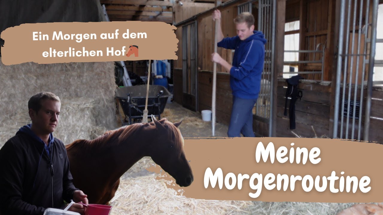 Meine Morgenroutine auf dem Hof