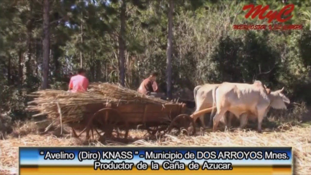 Azúcar Rubio Artesanal Parte 1