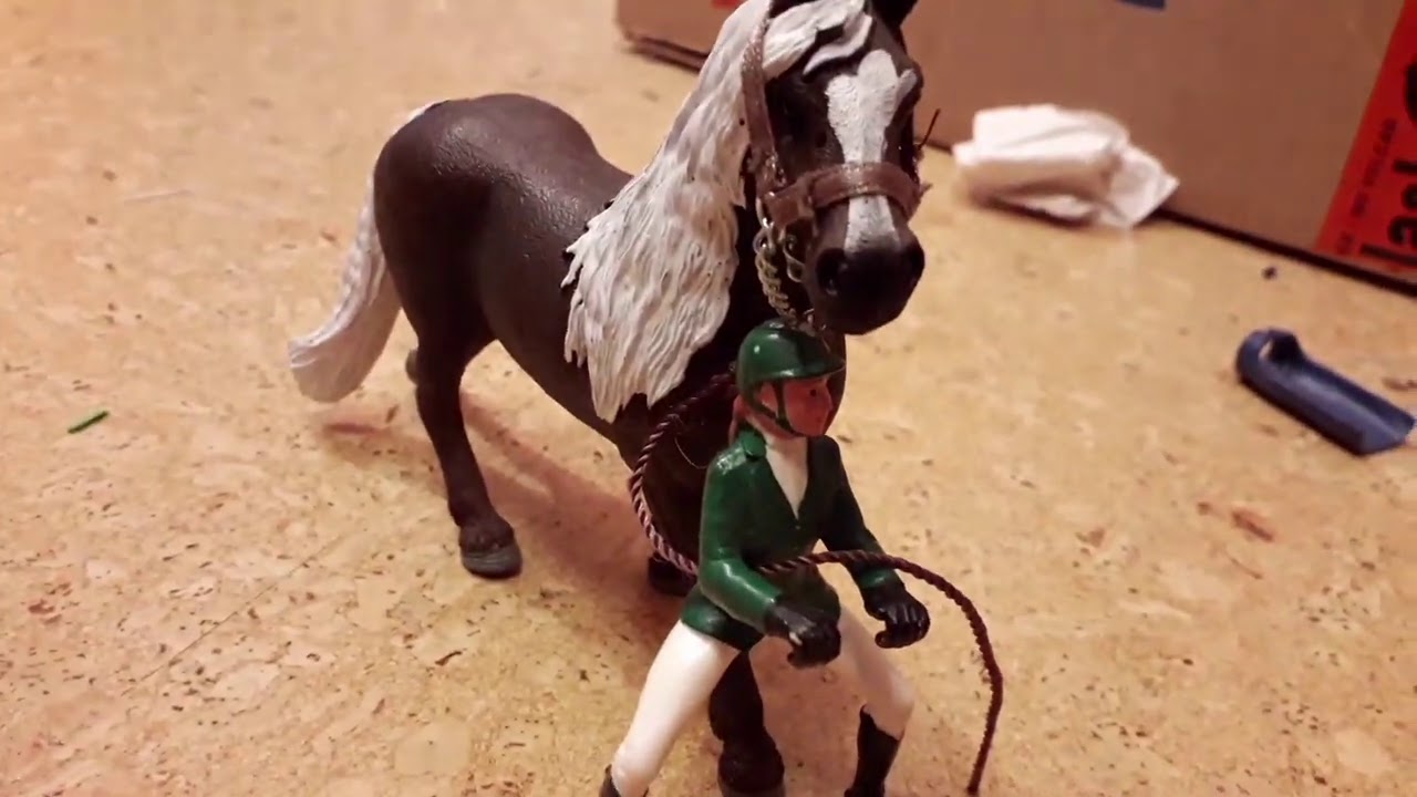 Neue Reiterrin+Pferde?!🤔 Die kennen wir doch!🙃