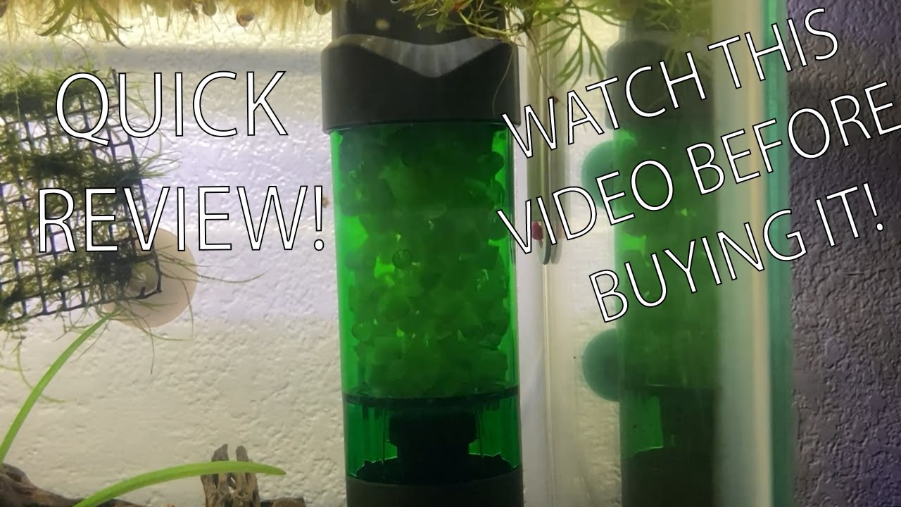 Qanvee LH-300 Review - Less than 2 minutes!