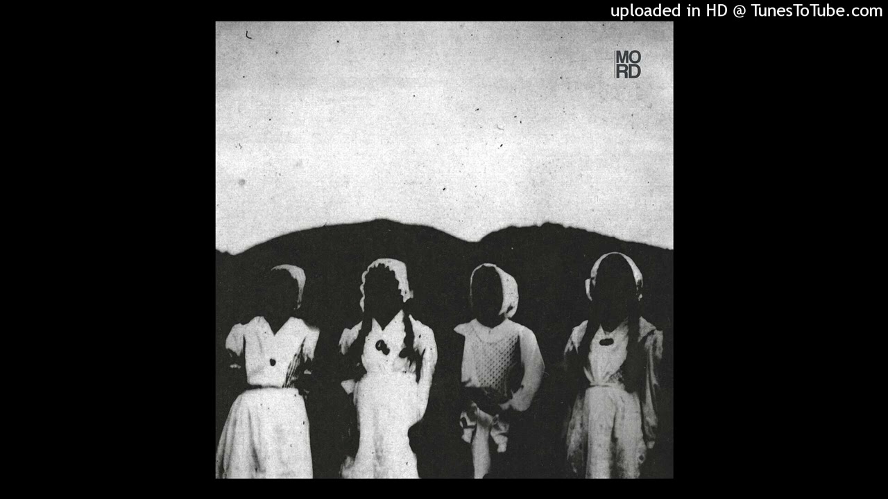 Radial - Pgen [MORD033]