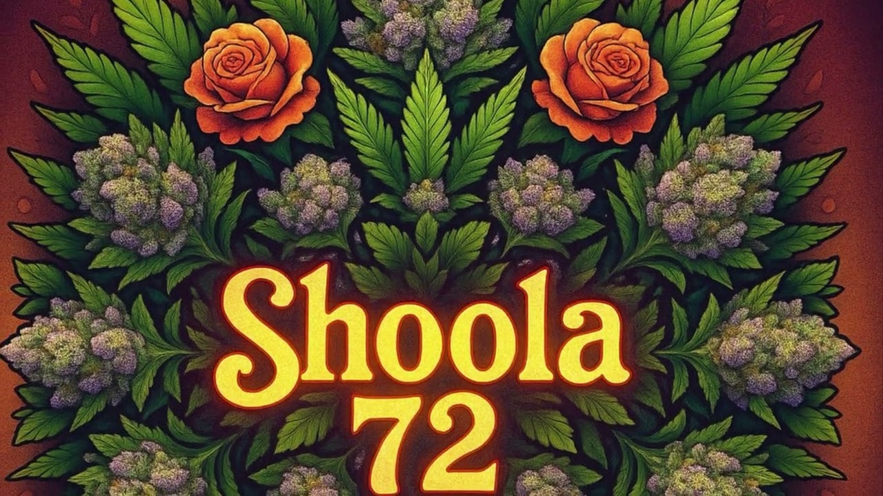 Shoola 72.    After School 78. John Renshaw
