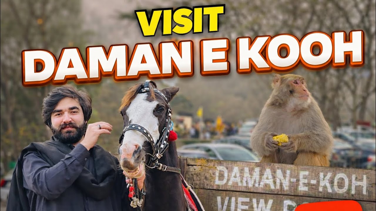 Islamabad ki beauty🔥🤍|zaibimalikvlogs