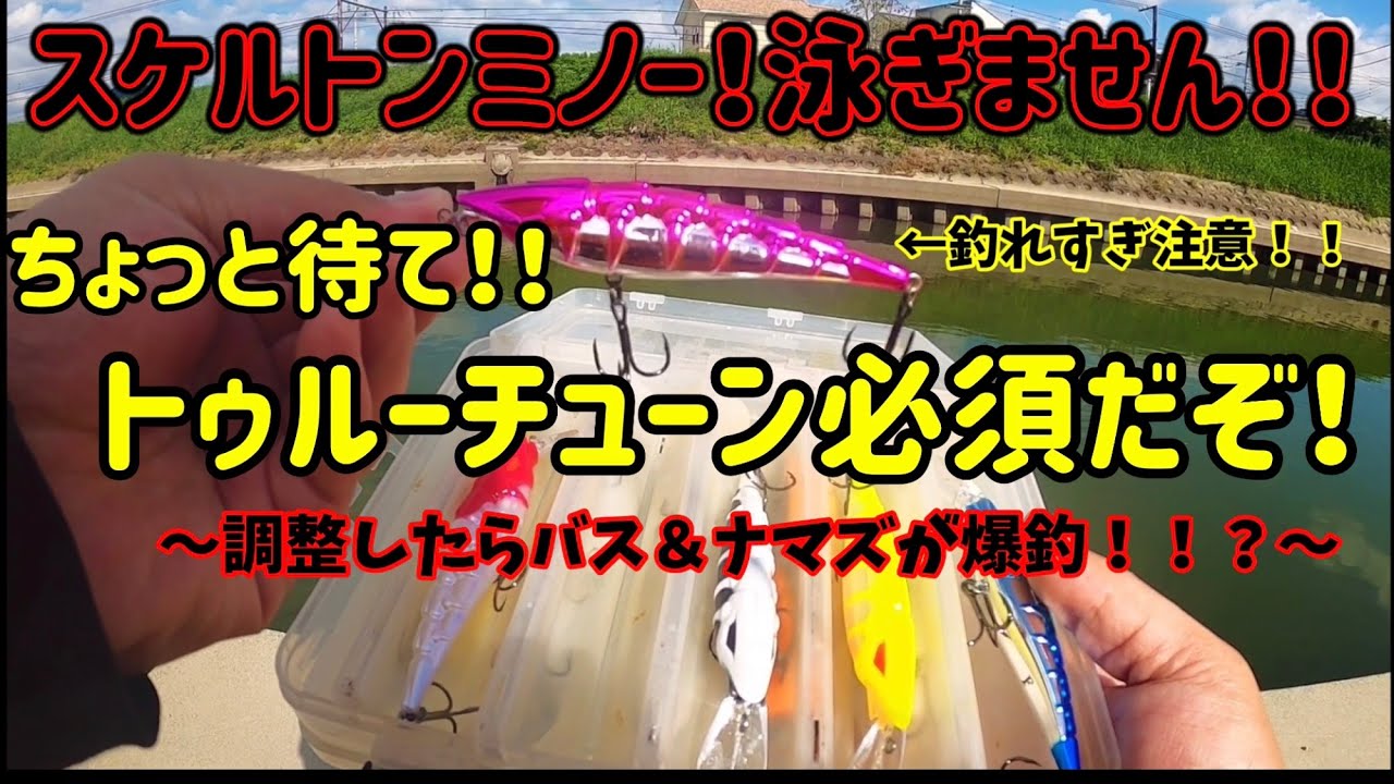 【バス釣り】ナマズも釣れる⁉️スケルトンミノー縛りで釣りしてみた‼️