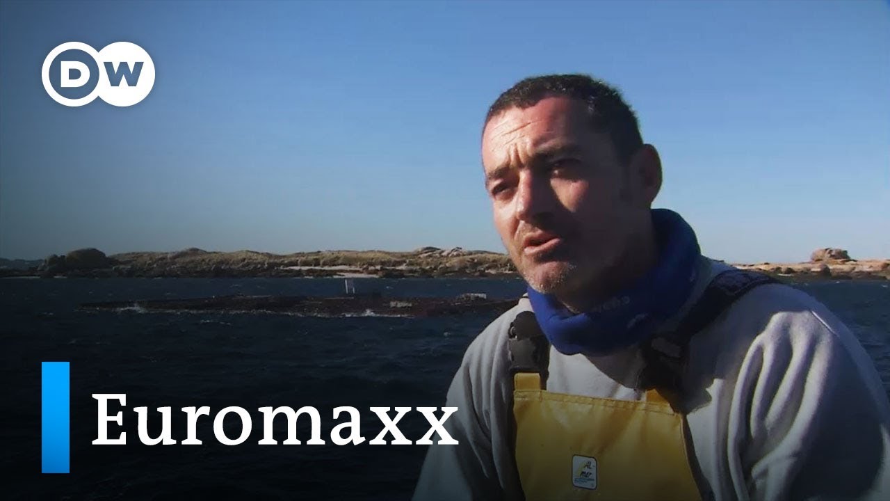 Wilde Sch&ouml;nheit in Spanien: Galicien | Euromaxx