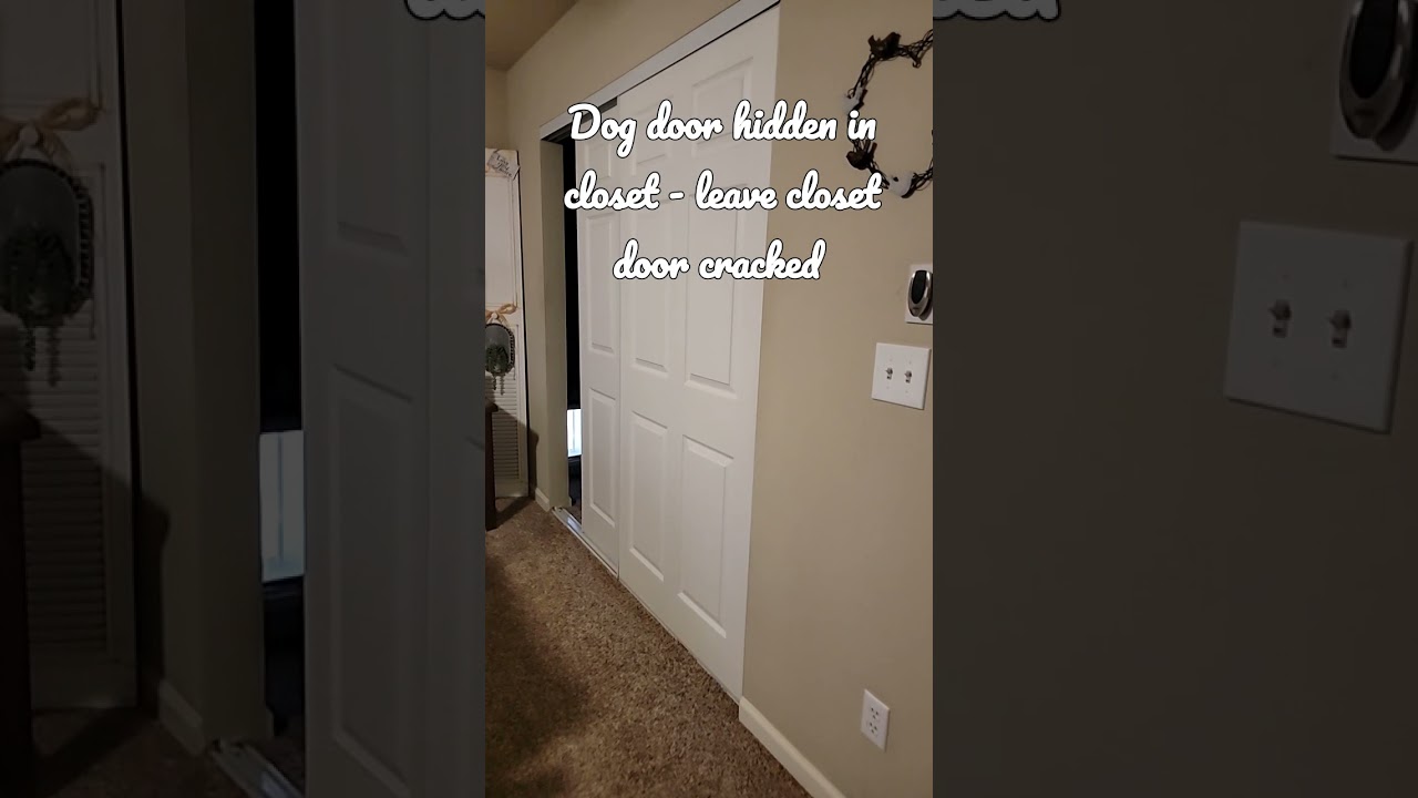 Dog door hidden in walk in closet that house guests can't see