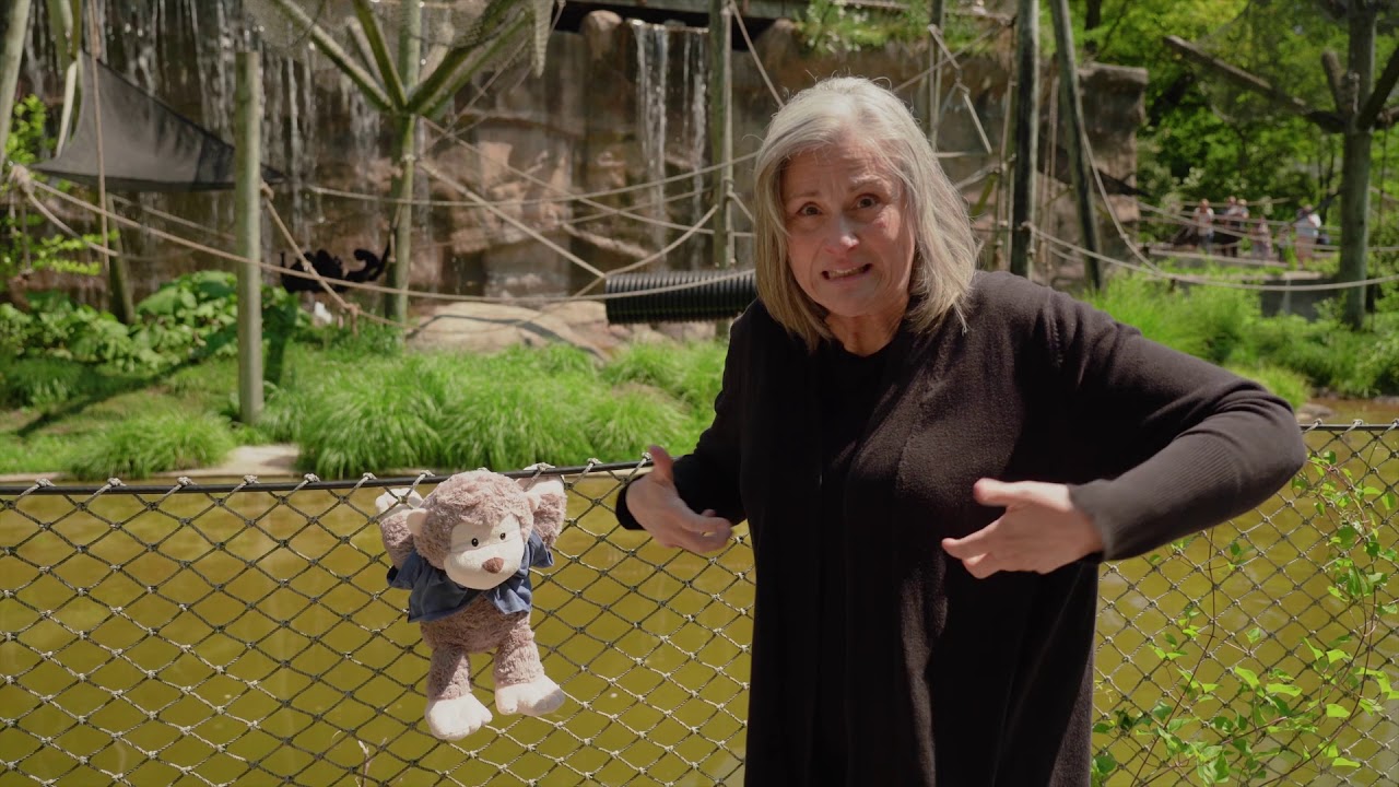 Kids Kamp 2020 - John Ball Zoo: Learning about Animals in ASL