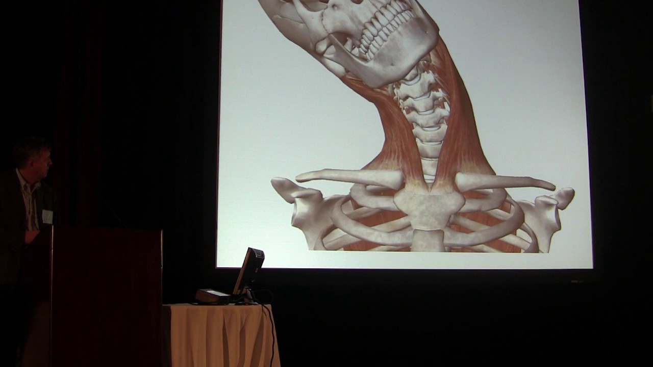 Pain in the Neck: Common Problems in the Cervical Spine - Conor O'Neill, MD