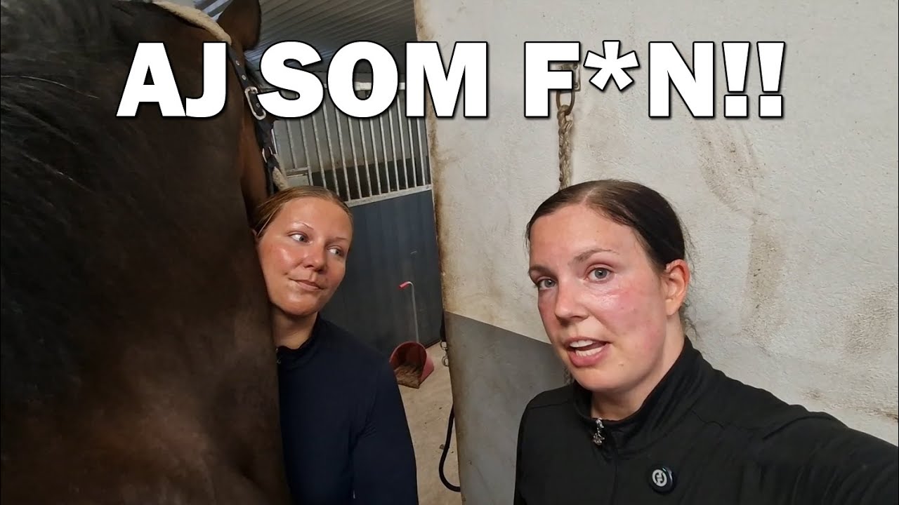 Stallvlogg med både SMÄRTA och goda besked ♥
